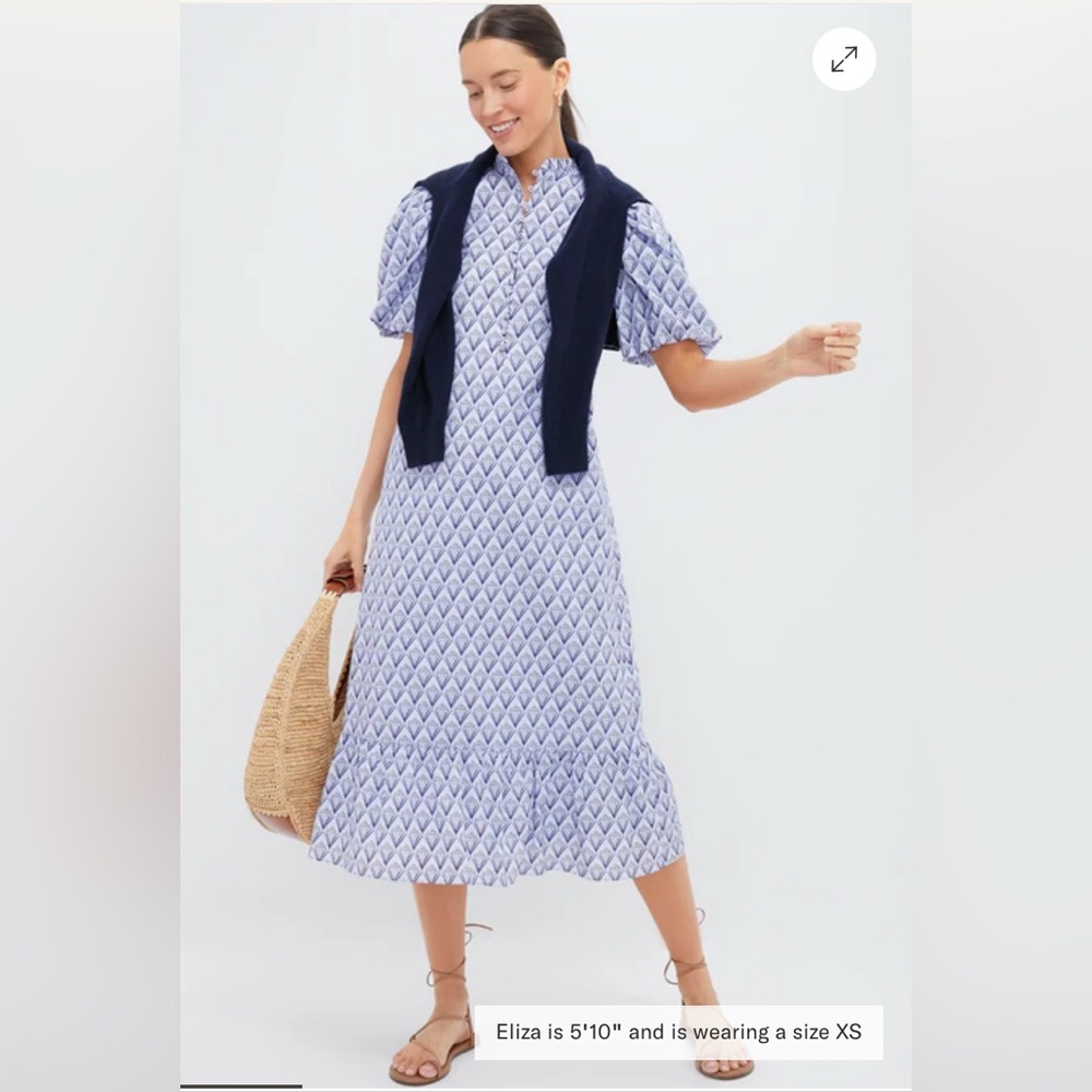 NWT Hyacinth House Periwinkle Trellis Mimi Midi Dress L